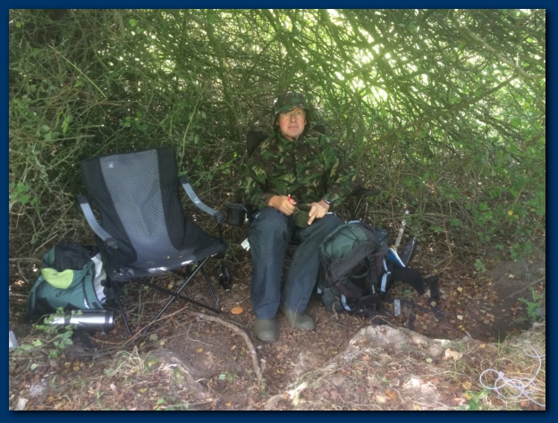 624x474 pixels (155K)